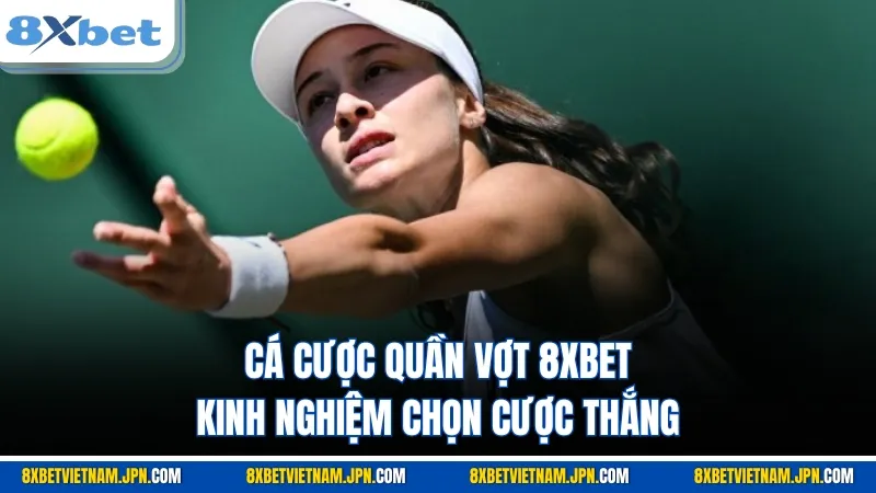 cá cược quần vợt 8xbet