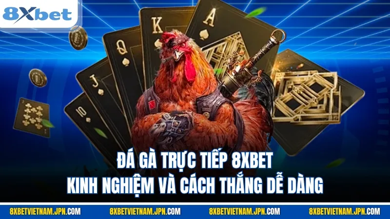 đá gà trực tiếp 8xbet