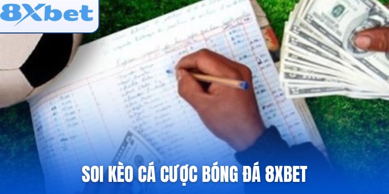 Những cách soi kèo hay khi chơi Cá cược bóng đá 8xbet